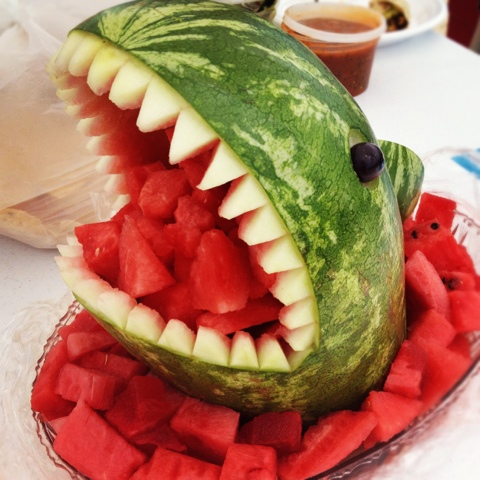 Watermelon Shark - A Kailo Chic Life