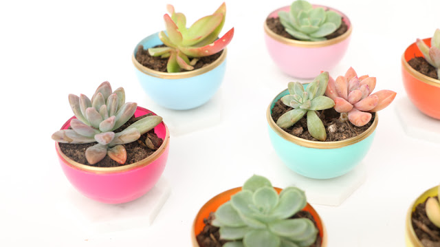 DIY Mini Spring Succulent Planters from Plastic Easter eggs! What a fun craft idea that is perfect for a spring party or bridal shower.