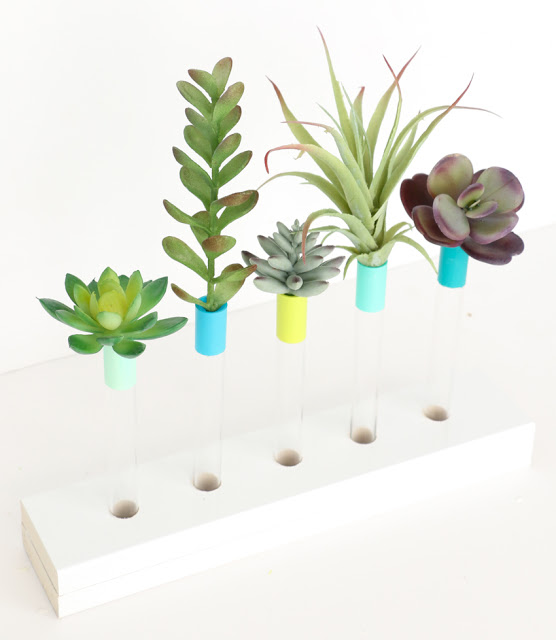 Make your own DIY test tube bud vase with white base - perfect for displaying flowers or faux succulents. - Craft idea - diy vase - bud vase - painted - custom colors 