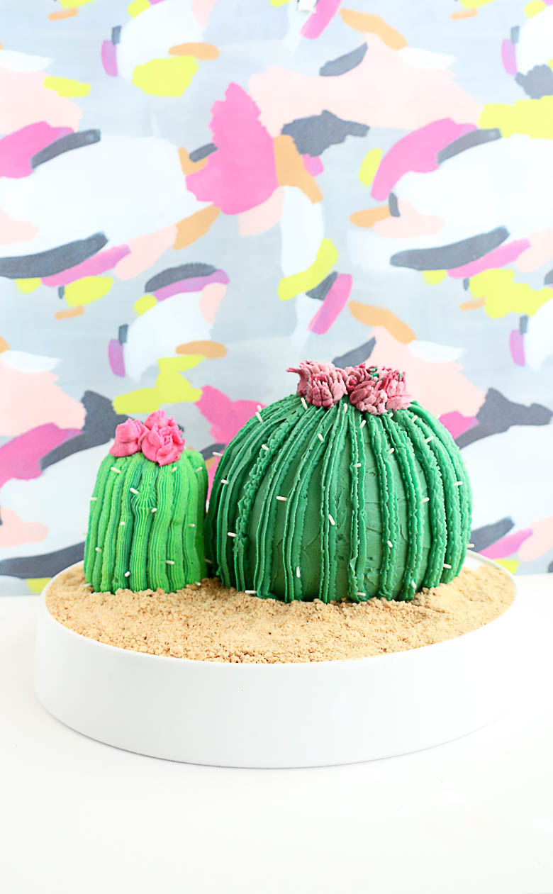 Bake a Cactus Cake