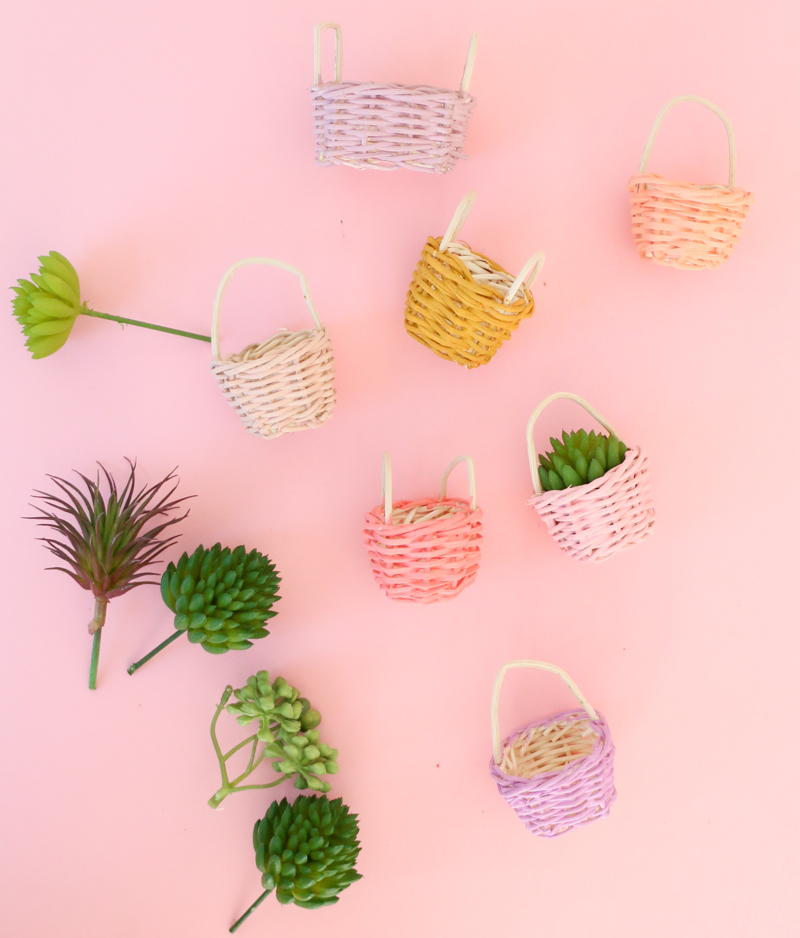DIY Mini Succulent Easter Baskets