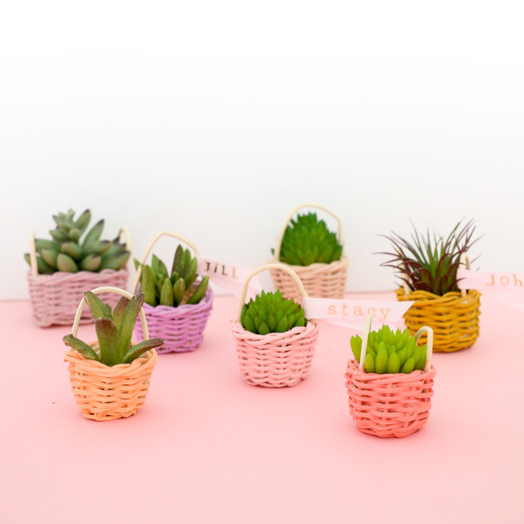 DIY Mini Succulent Easter Baskets